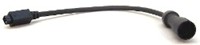 Adapter -- Voyager Color Cable to B/W Monitor