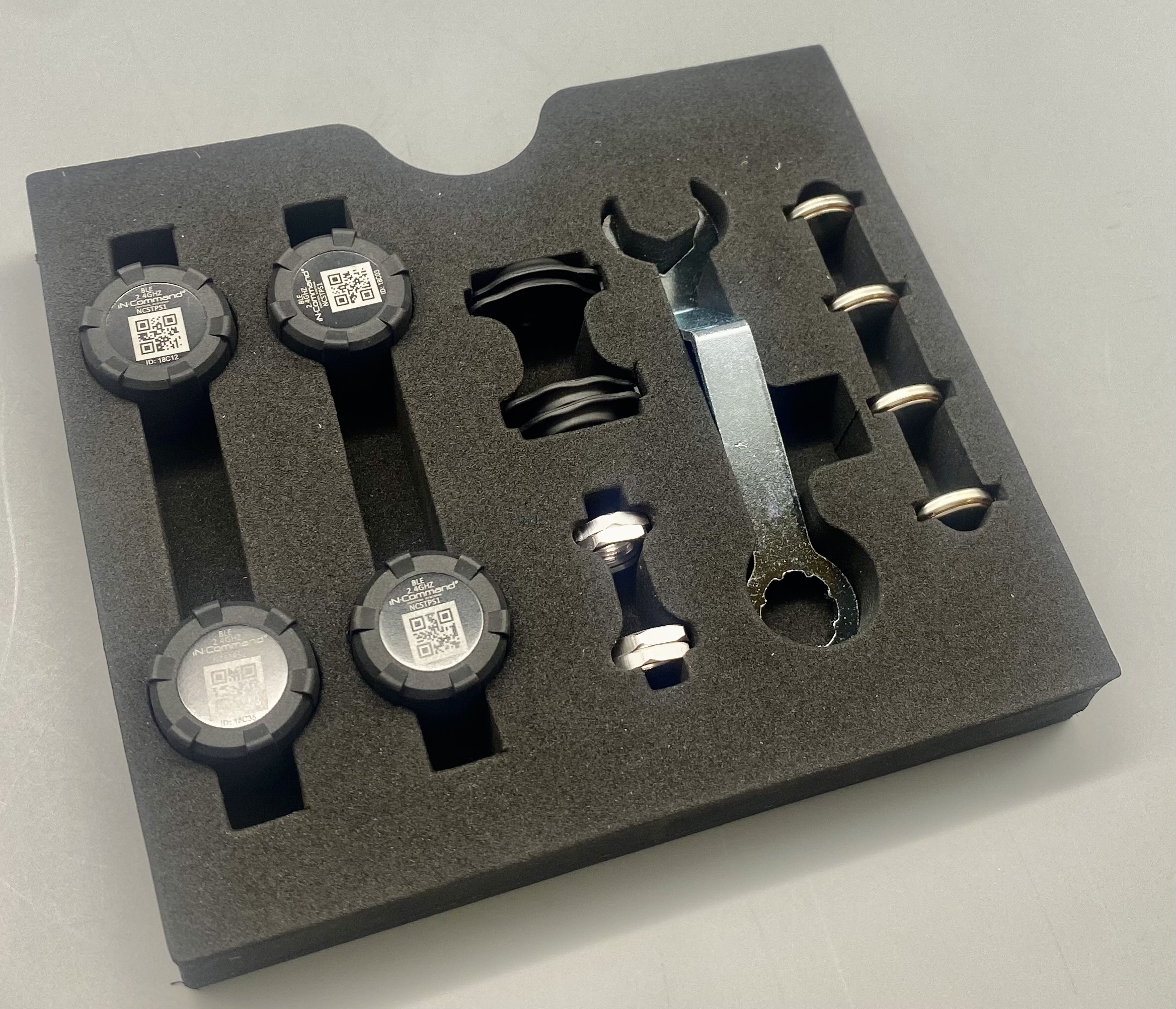 iN-Command Tire Pressure Monitoring System