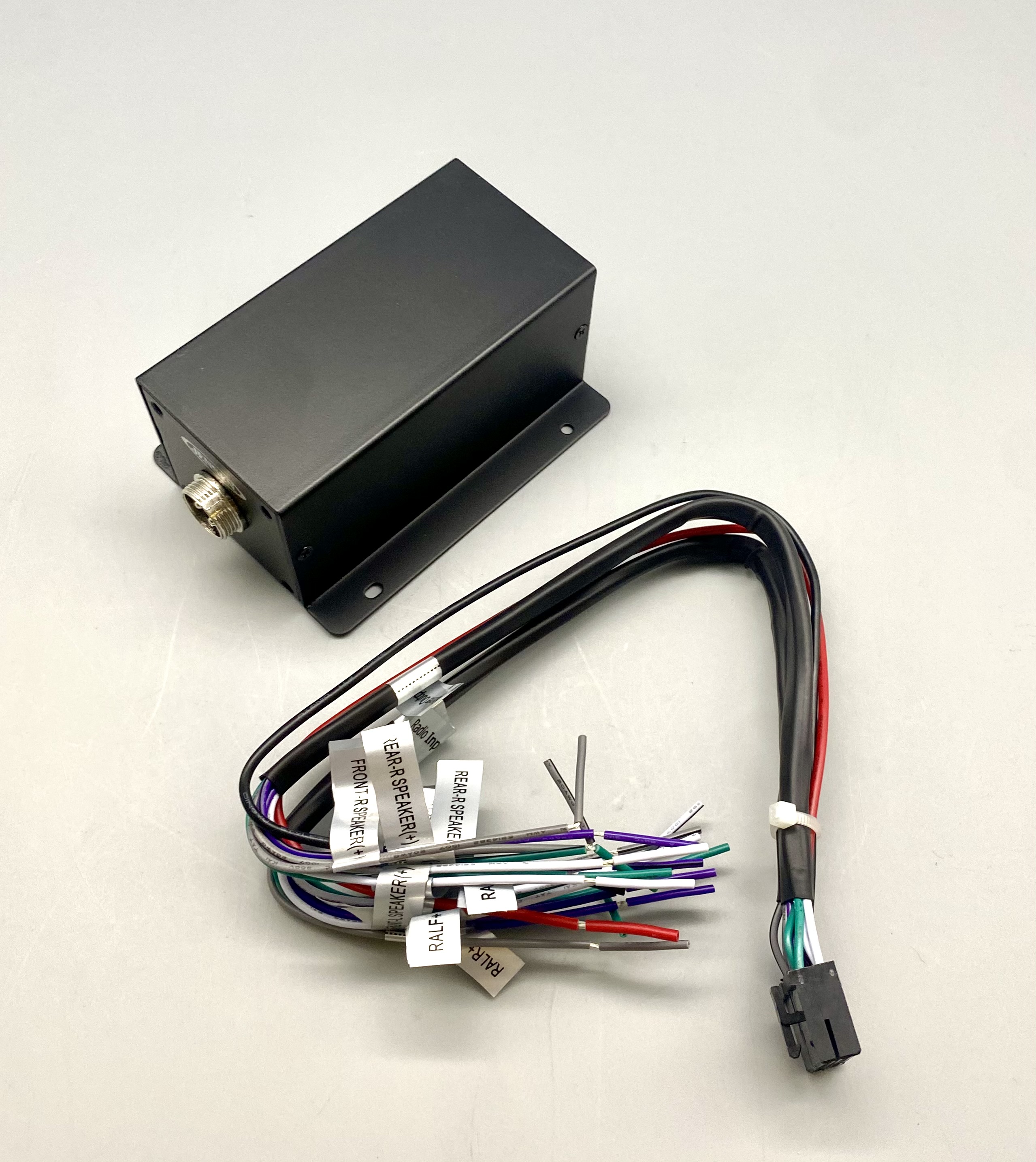 Standalone PA Amplifier