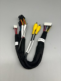 VS41 HARNESS FOR FCTP-MB1104