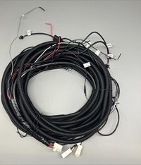 Main Harness for VBSD32